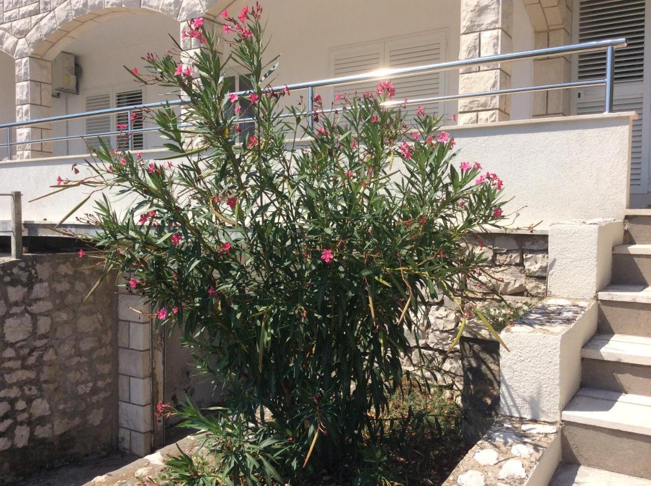 Lux Apartments Korčula Exteriér fotografie